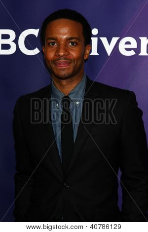 LOS ANGELES - JAN-6: Andra Holland besucht der NBCUniversal 2013 TCA Press Tour 