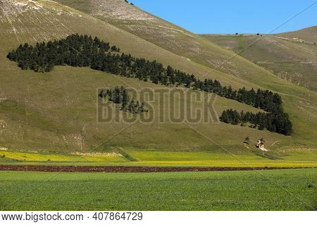 Norcia (pg), Italy - May 25, 2015: The Italy Silhuette Composed With Trees Near Castelluccio Di Norc