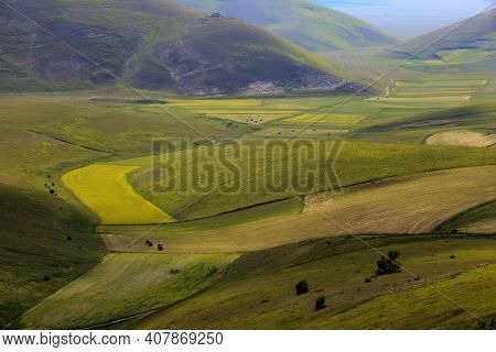 Norcia (pg), Italy - May 25, 2015: The Famous Spring Flowering In The Fields Around Castelluccio Di 