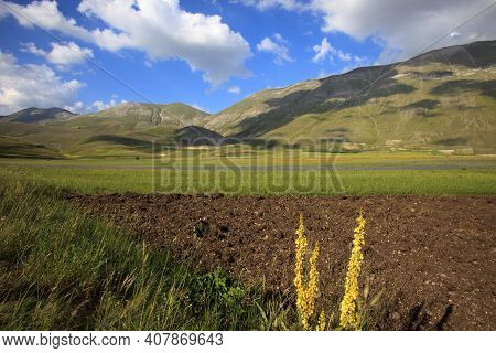 Norcia (pg), Italy - May 25, 2015: The Fields Around Castelluccio Di Norcia, Highland Of Castellucci
