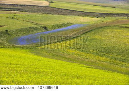 Norcia (pg), Italy - May 25, 2015: The Famous Spring Flowering In The Fields Around Castelluccio Di 