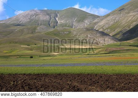 Norcia (pg), Italy - May 25, 2015: The Fields Around Castelluccio Di Norcia, Highland Of Castellucci