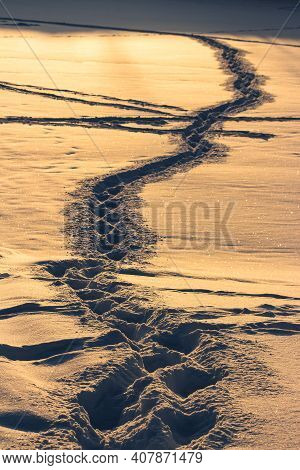 Trails On The Golden Snow At Sunset. Abstract View Of A Snow-covered Field With Trodden Paths. Beaut