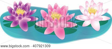Water Lilies Lily In Water With Lily Pad Graphic