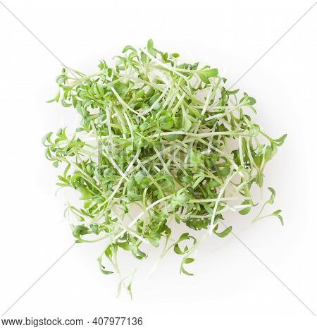 Heap Of Micro Greens Garden Cress Sprouts Isolated On White Background