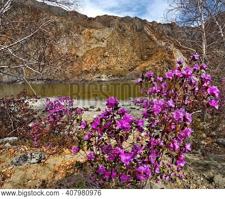 Russia. Mountain Altai. Thousands Of Tourists From Different Countries In Early May Come To Admire T