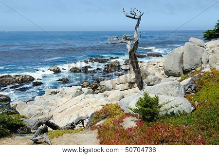 Tichomoří stálo scenérie v Monterey, Kalifornie