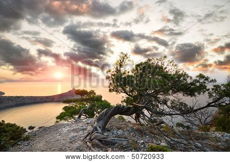 seascape