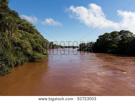 River Leading To Iguassu Falls