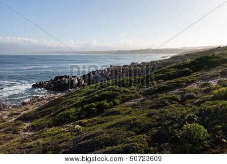 Gansbaai Coastline In South Africa