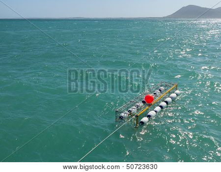 Shark Diving Cage At Gansbaai South Africa