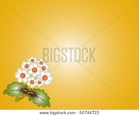 Flowers Background
