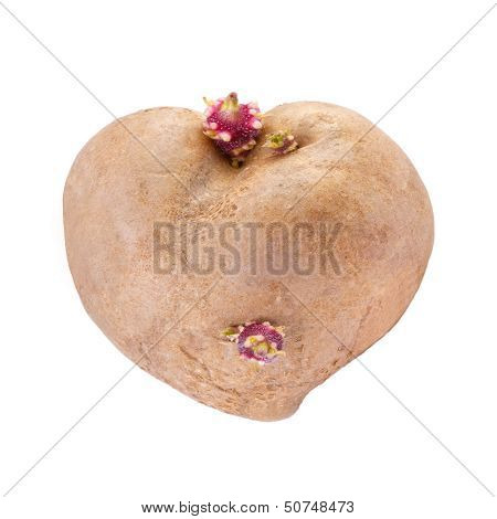 Potato in a heart shape