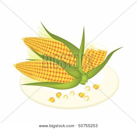 A Plate Of Fresh Corn And Kernel Corn
