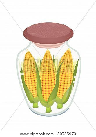 Three Ears Of Corn In Glass Bottle
