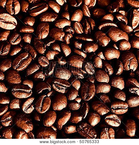 Coffee Beans