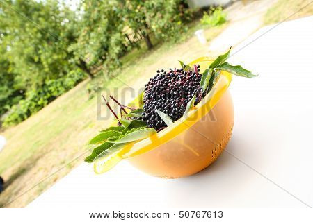Elder Berries In A Bowl