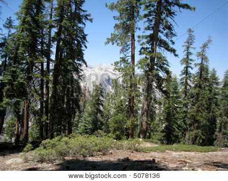 Výhled na Half Dome stezkou v Yosemite