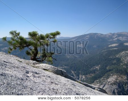 Nádherný výhled z vrcholu Half Dome
