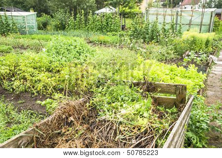 Garden Compost Bin