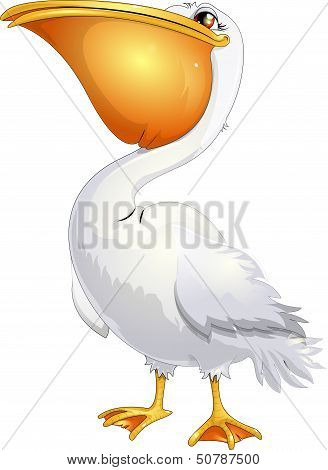 pelican.eps