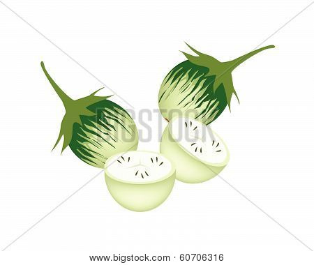 Delicious Green Eggplant On A White Background