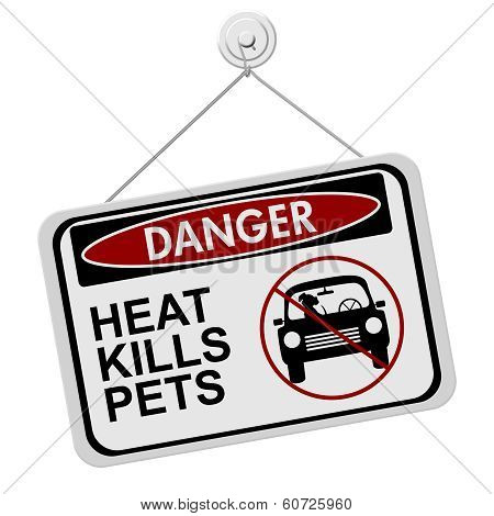 Dangers Of Leaving A Dog In Parked Cars