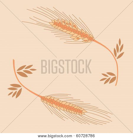 Spica vector illustration