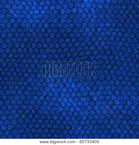 Blue Dragon Scales Pattern