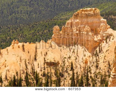 Rotsformatie In Bryce Canyon