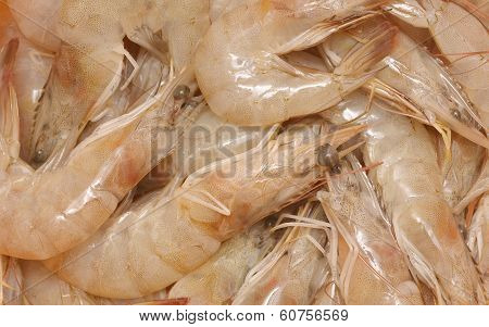 raw shrimps