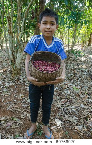 boy is smiling for photo with coffee berries