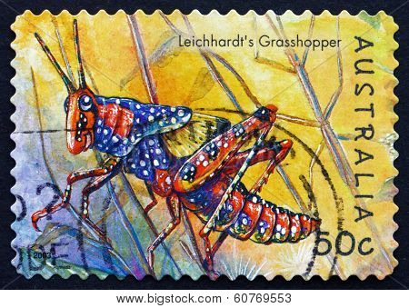 Postage Stamp Australia 2003 Leichhardts Grasshopper, Insect