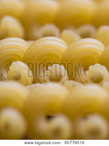 Ribbed Dry Yellow Macaroni With Periodic Line