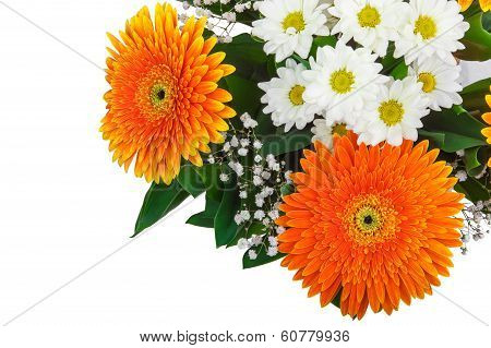 Fragment Of Bouquet Of Gerberas