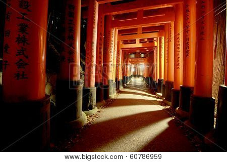 Kyoto pathway