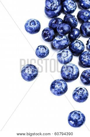 Fresh Blueberries Isolated On White Background Close Up. Group Of Large  Blue Berries Macro.
