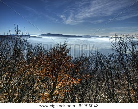 Autumn inversion