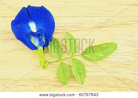 Asian Pigeonwings Or Clitoria Ternatea With Green Leafs On Wood Background