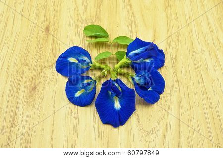 Asian Pigeonwings Or Clitoria Ternatea With Green Leafs