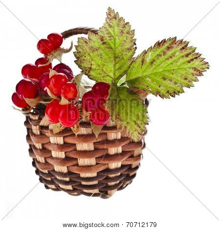 Wild Forestry  Stone Bramble berry (Rubus saxatilis)  in wicker basket close up isolated on white background