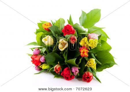 Barevné kytice tulipánů