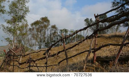 Rural Fence