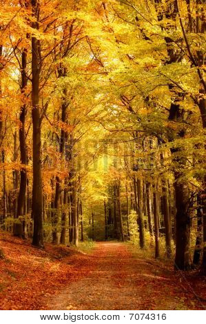 Herfst