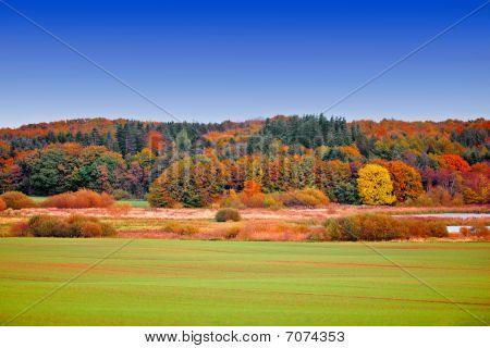 Herfst