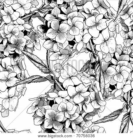 Monochrome Seamless Background with Hydrangea