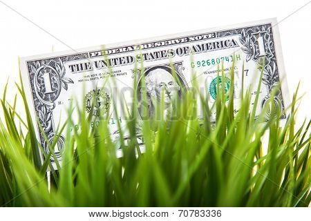 Dollar note in grass