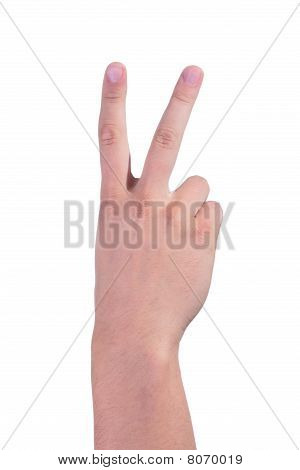 Fingre