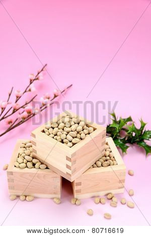 Roasted Soybeans And Holly And Plum Blossoms.