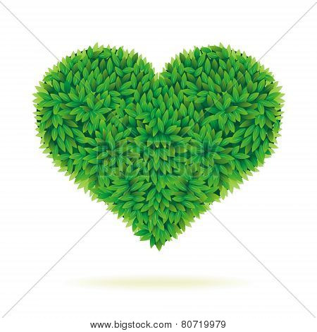 Heart symbol in green leaves